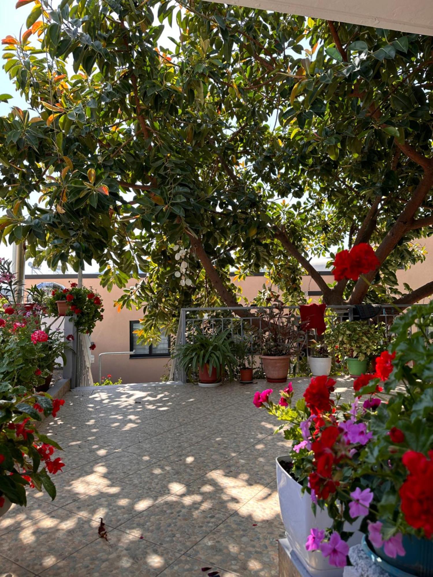 Albi'S Guesthouse Ksamil Luaran gambar